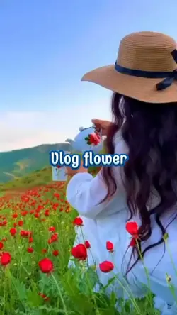 Vlog flower