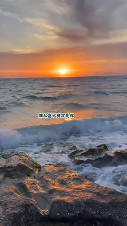 song meteor garden