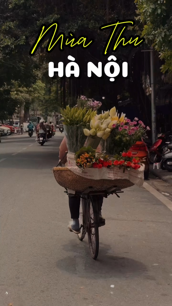 1 Video Mùa Thu