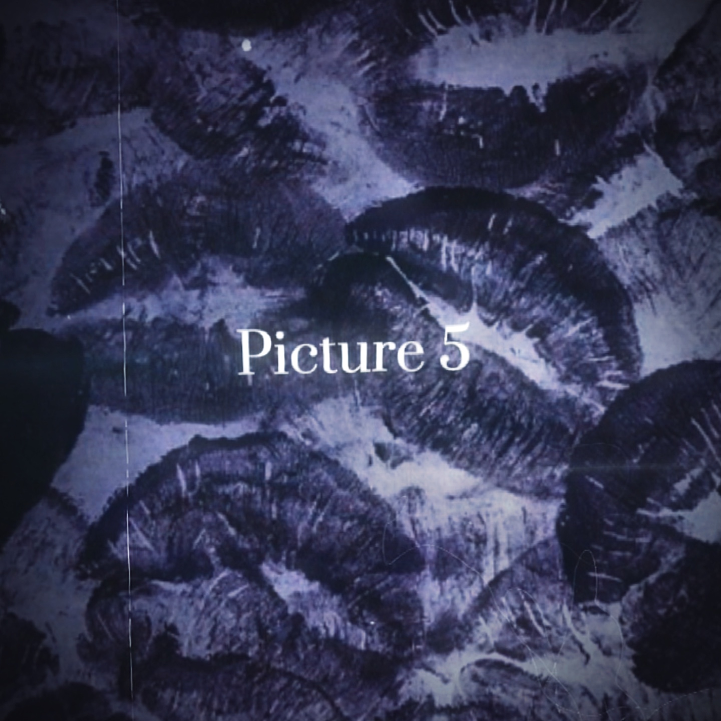 Cover Picture