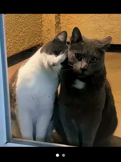 those eye's 