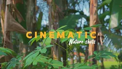 Cinematic Nature HD