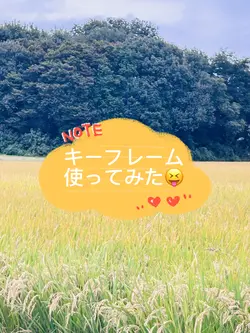 金色のトランポリン🤪