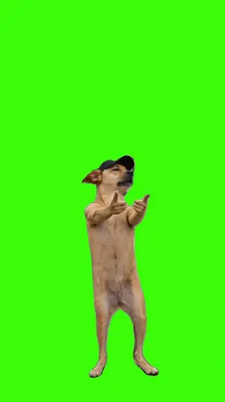 Dog/Cachorro.