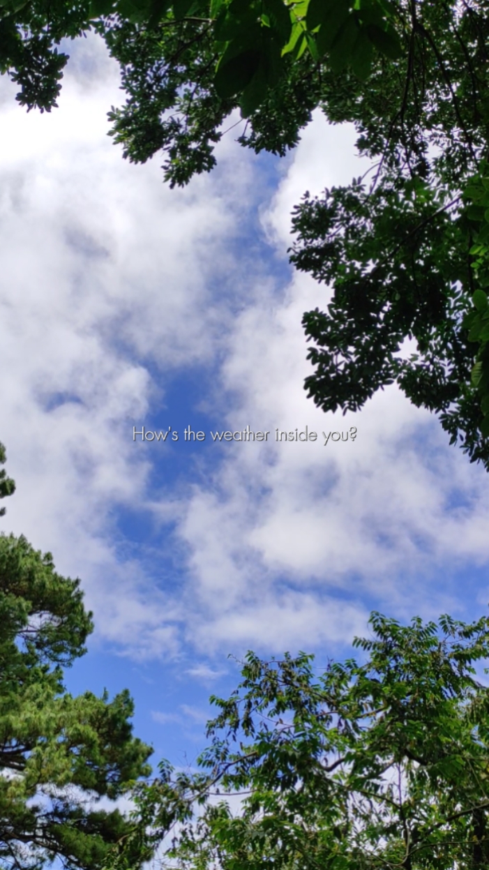 Weather Story