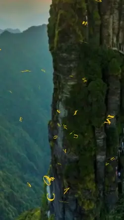 Travelling Cinematic