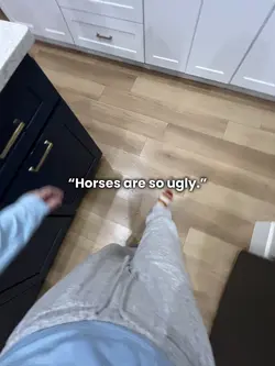 Horses? Ugly??