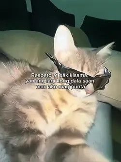 ayus lang na di ko p
