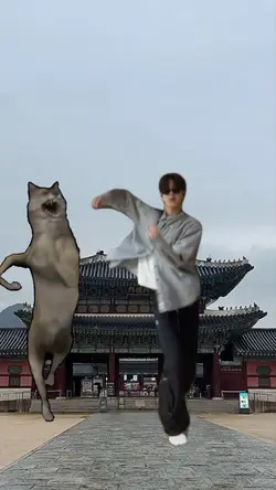 경복궁에서 늑대와 춤을