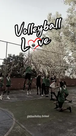 Volleyball Love