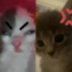 갑자기 이런거 만들고 싶어짐.