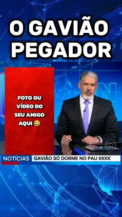 gavião meme