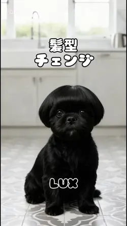 髪型チェンジ♡ＬＵＸ