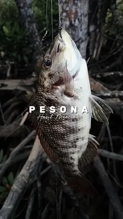 PESONA HASIL MANCING