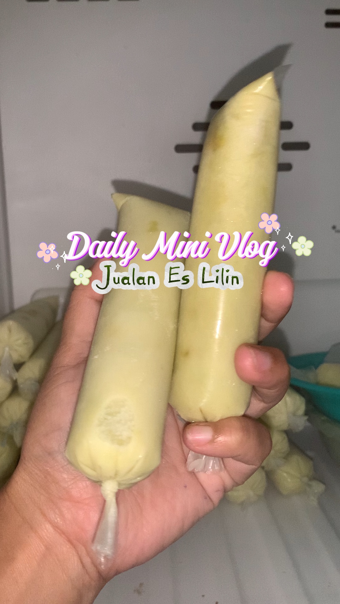 Mini Vlog Harian✨