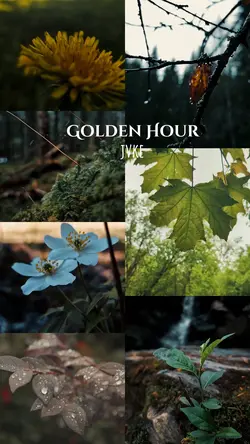 Golden Hour -JVKE