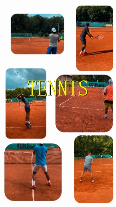 Tenis
