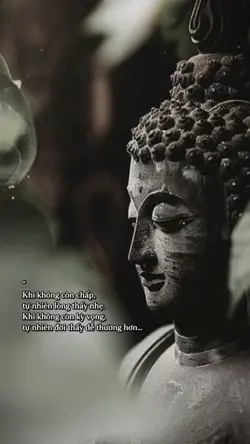 Caption Phật Pháp🪷