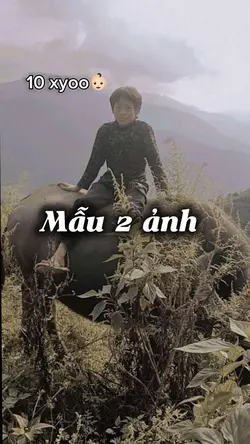 16 xyoo 👨🏻🌾