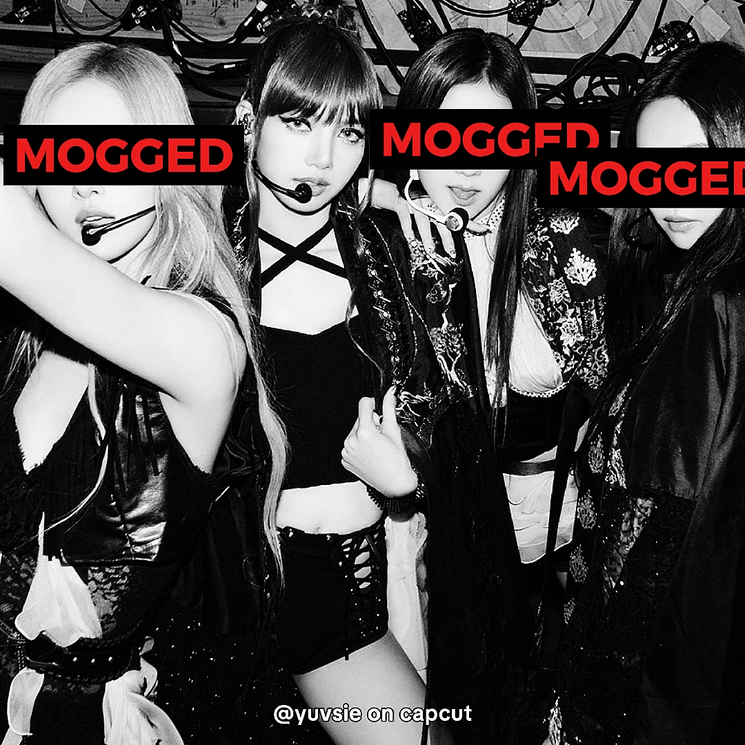 moggedd