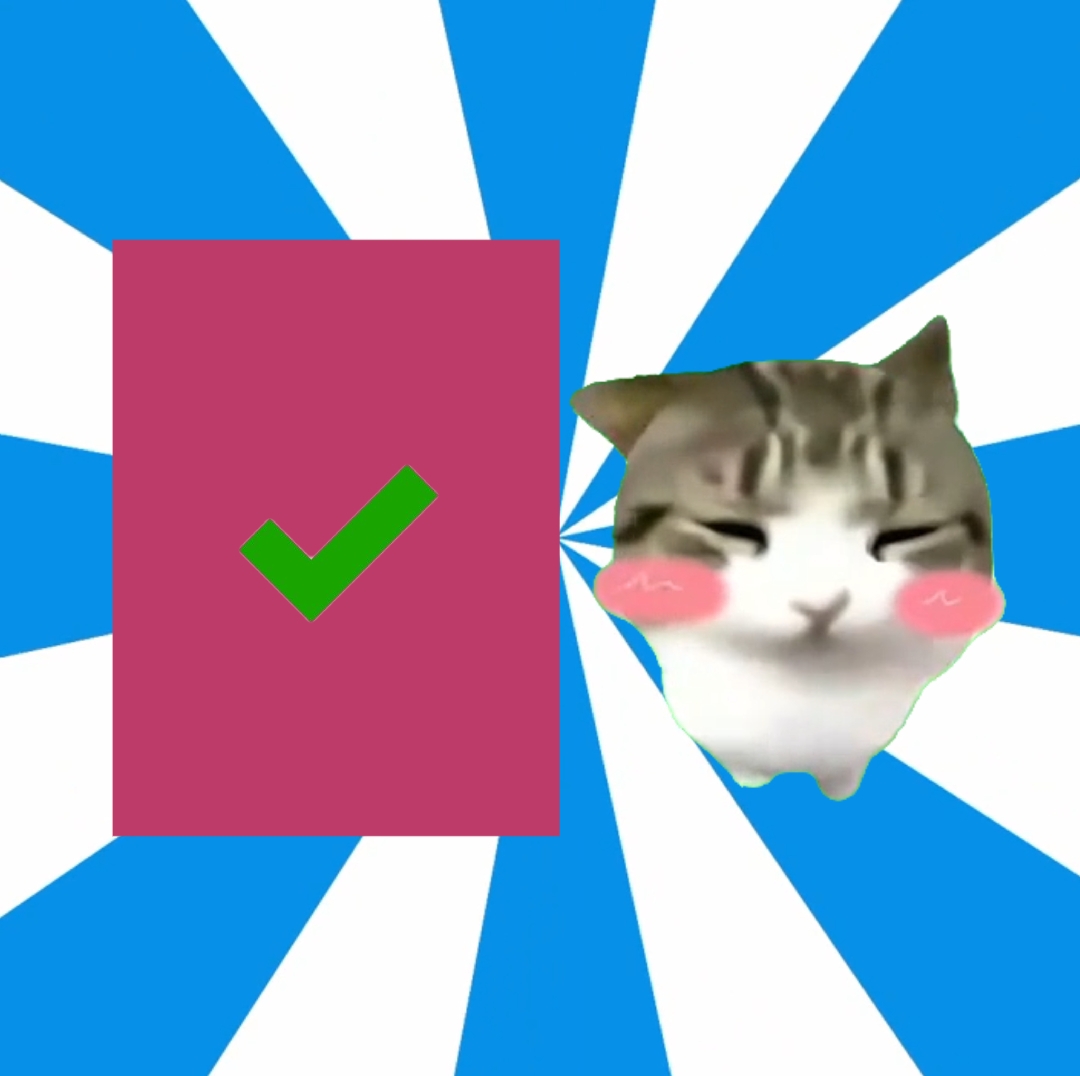 담담 고양이