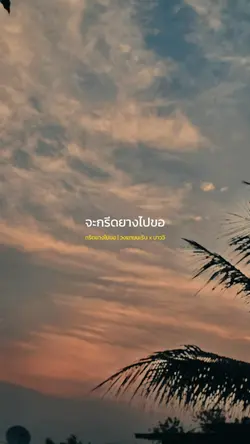 กรีดยางไปขอ