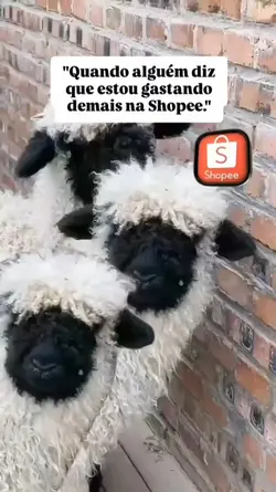 Meme shopee 