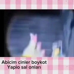 Abi boykot