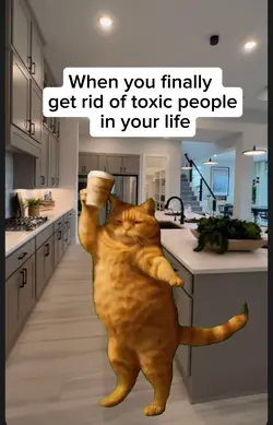 cat dancememe