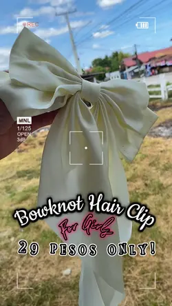 KOREAN hair clip