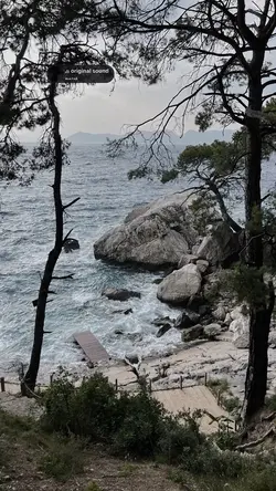 insan yg kau cinta..