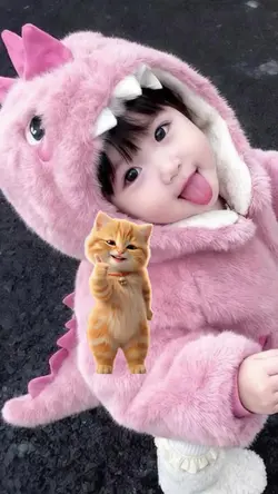 kucing joget