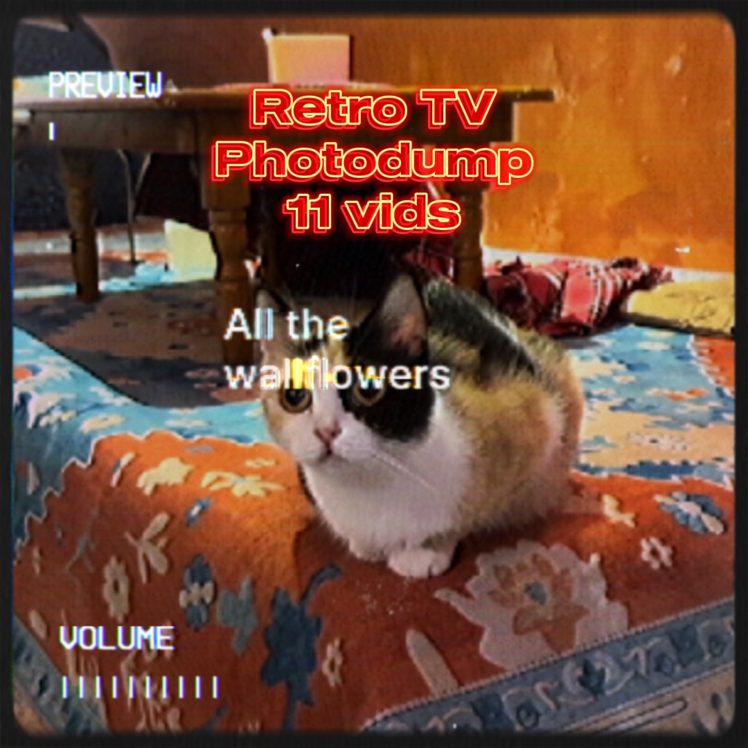 Télévision rétro