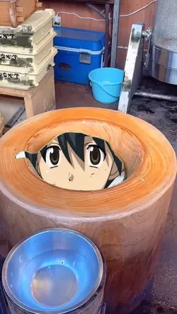 是非