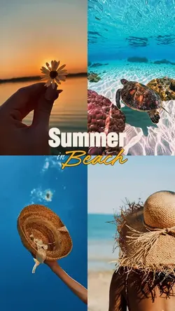 Summer in beach