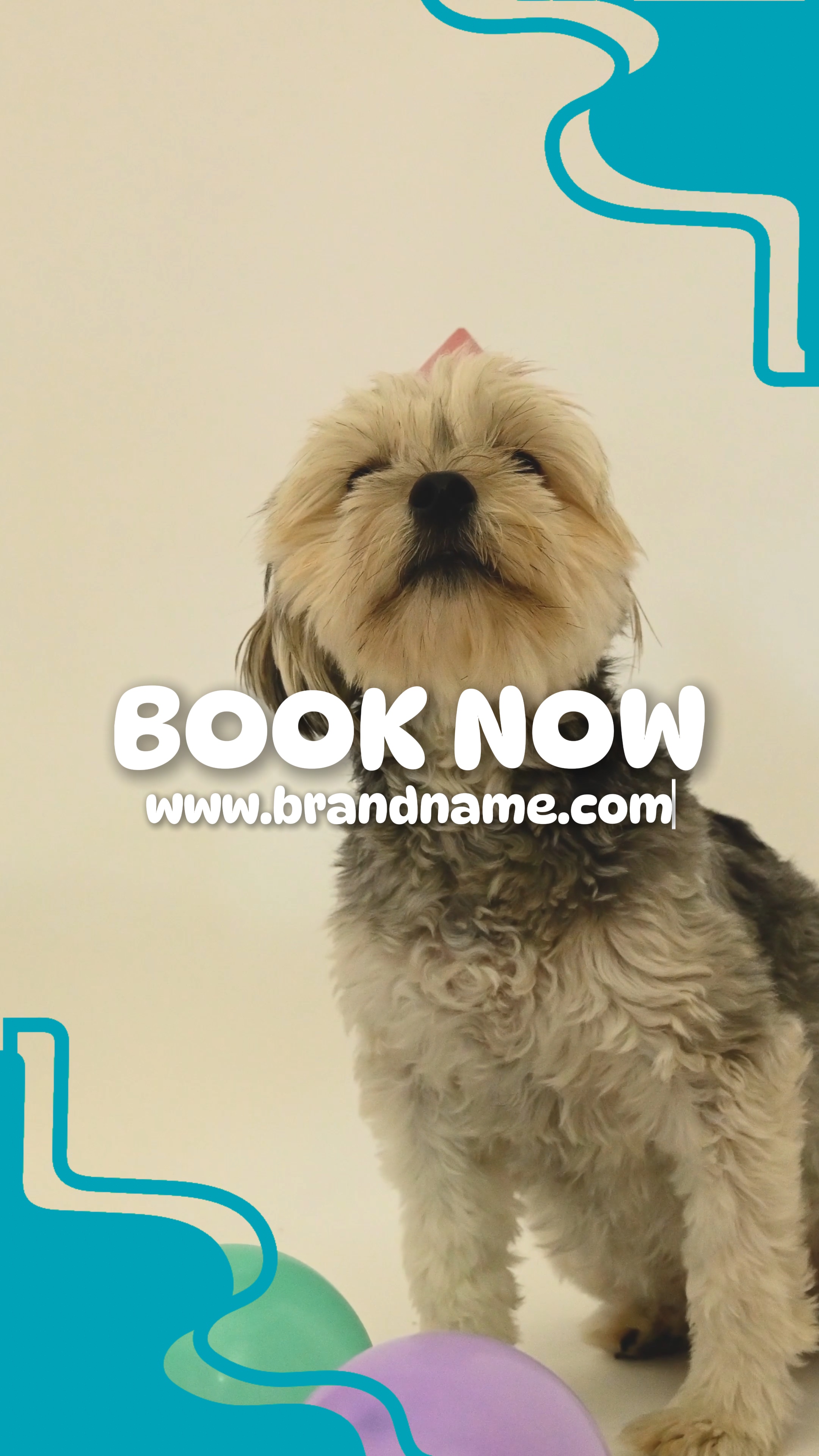 Pet Service Tiktok Style 