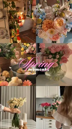 Spring moment