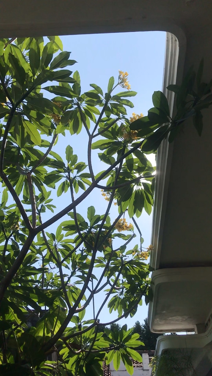 Vlog aestetik✨