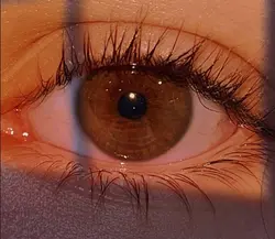 fotoğraf benim değil