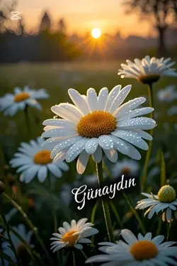Günaydın