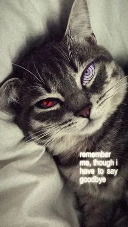 remember me..