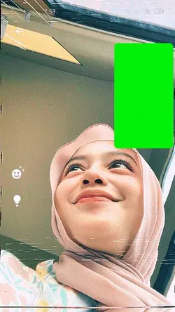 Fake Video Call