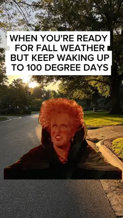 Weather