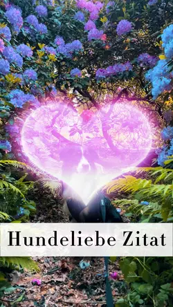 Hundeliebe Zitat
