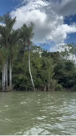 Céu limpo