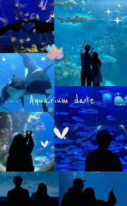 Aquarium date ❤️