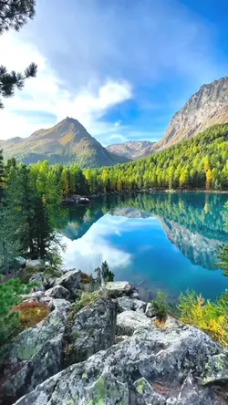 New Templates 2025 🏆