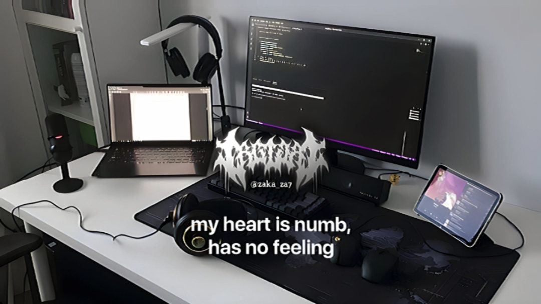 Cover Picture