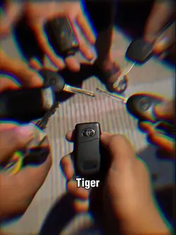 VERSI TIGER NIH 