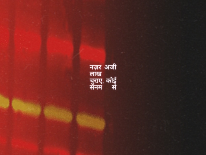 aa hi jaata hai dil❤️